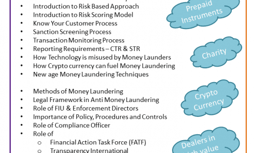 Certified Anti Money Laundering Investigator (CAMI)